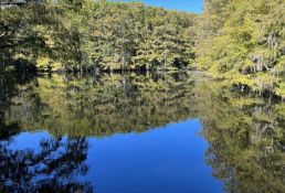 Peaceful Lot in Florida by Babcock Ranch Preserve!