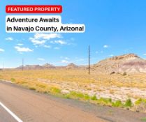Adventure Awaits in Navajo County, Arizona!