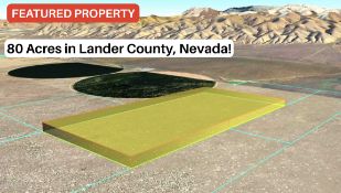 80-Acres with Mountain Views in Nevada!