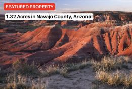 1.32 Acres in Navajo County, Arizona!