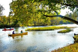 Build Your Dream Home in the Arkansas Ozarks!