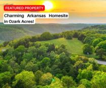 Charming Arkansas Homesite in Ozark Acres!