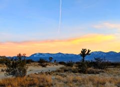 Los Angeles County, California: Own Over 5 Acres Here!