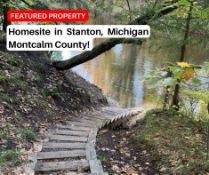 Stanton, Michigan Homesite!