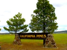 Pair of Lots in the Green Pines of Northern California!