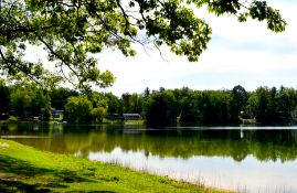 Explore Michigan's Lake County Gem!