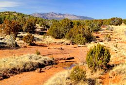 Valencia County, NM Lot Near Meta!