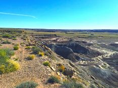 3 Adjacent Lots in Sharp County, AR!