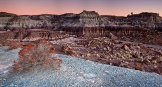 Arizona Desert Views Await!