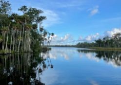 Paradise Awaits in Homosassa, Florida!