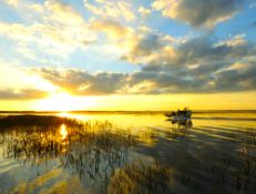 Over an Acre of Florida Peace in Polk County!