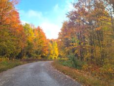 Your Private Fall Michigan Retreat Awaits!