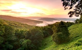 Build Your Ozark Retreat in Arkansas!