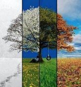 Experience Four Seasons in Michigan!