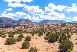 Invest in Growth in Valencia, New Mexico!