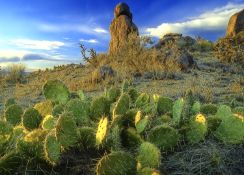 Hot Investment Opportunity in Valencia County, New Mexico!