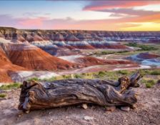 Own 1.32 Acres of Arizona Property!