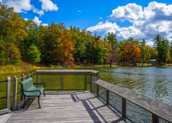 Discover Historic Idlewild, Michigan!