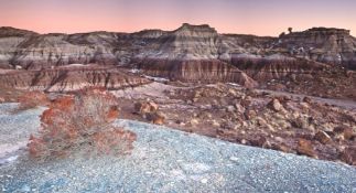 Arizona Lot Near Petrified Forest Park!