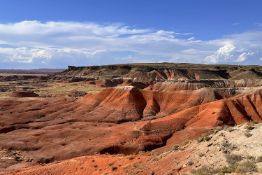 Navajo County, Arizona Lot Near the Petrified Forest Park!