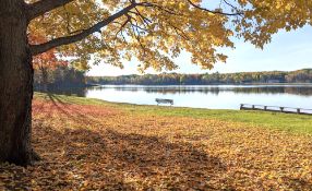 Enjoy Autumn in Michigan by the Lake!