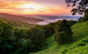 Three Adjacent Lots in Ozark Acres, Arkansas!