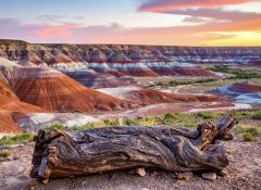 1.26-Acre Plot in Historic Navajo County, Arizona!