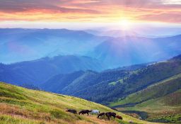 20 Minutes From Nevada's Mustang Monument Eco Resort & Preserve!