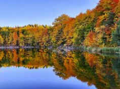 Build in Michigan's Lakes of the North Community!