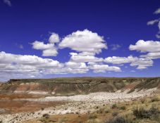 Your Piece of Historic Navajo Country Just Minutes from Holbrook, Arizona!