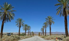 Southern Cali: Between the Mountains & the Sea!