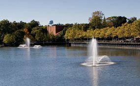 Cozy & Welcoming Allegan County, Michigan!