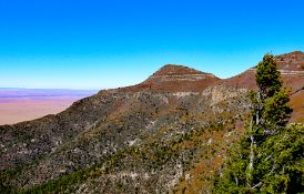 Affordable Land in Expanding Valencia County, New Mexico!