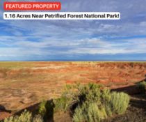 Over an Acre in Apache County, Arizona!