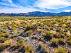 Grab 10 Acres in Nevada's Beautiful High Desert Landscape!