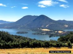 Build Dream Home in Scenic Lake County, California!