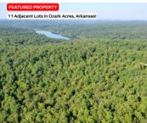 11 Adjacent Lots in the Arkansas Ozarks!
