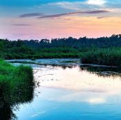 Sunny Floridian Land Up for Grabs, in Polk County!
