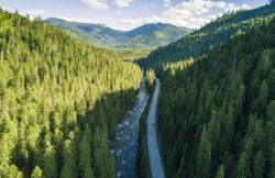 USA Land Auction: Own a Piece of America!