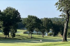 Cherokee Village Homesite Close to Lakes & Golf!