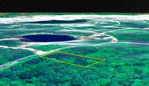 FINANCE this Buildable Lot in Lakes of the North, Michigan! YOUR BID IS YOUR MONTHLY PAYMENT!