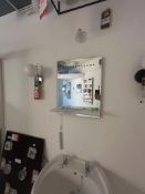 Bathroom Mirror