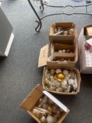 Various loose light bulbs