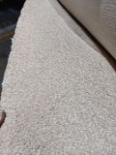 Grade B, 2.6m length, 4m width, Extra heavy, 100% PP, Thick & Soft, Deep cream