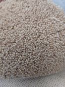 Grade B, 2.5m length, 4m width, Heavy Domestic, Tufted Twist, 80% Wool 10% PP 10% Melt bond, Deep