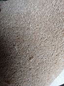 Grade B, 3.1m length, 4m width, Heavy Domestic, Tufted Twist, 80% Wool 10% PP 10% Melt bond, Deep