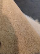 Grade B, 5.8m length, 5m width, 80% Wool, 10% PP, 10% Meltbond. Heavy domestic., Deep cream