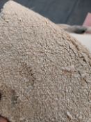 Grade B, 3.3m length, 4m width, Extra heavy, 100% PP, Thick & Soft, Deep cream