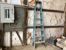 8' Fiberglass Step Ladder