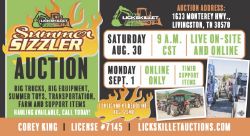 Summer Sizzler Auction